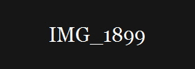 IMG_1899