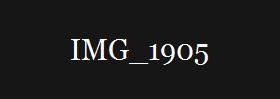 IMG_1905