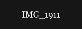 IMG_1911