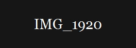 IMG_1920